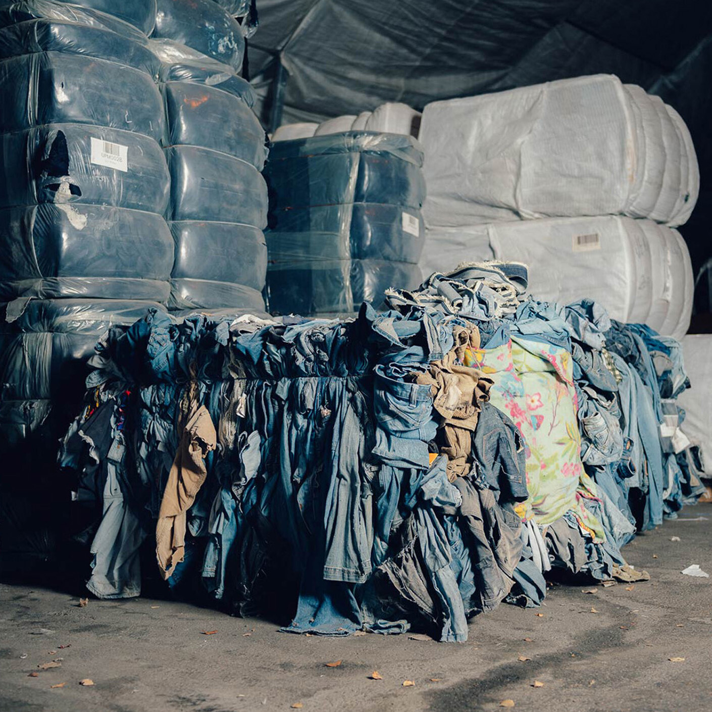 TS Q Waste Age