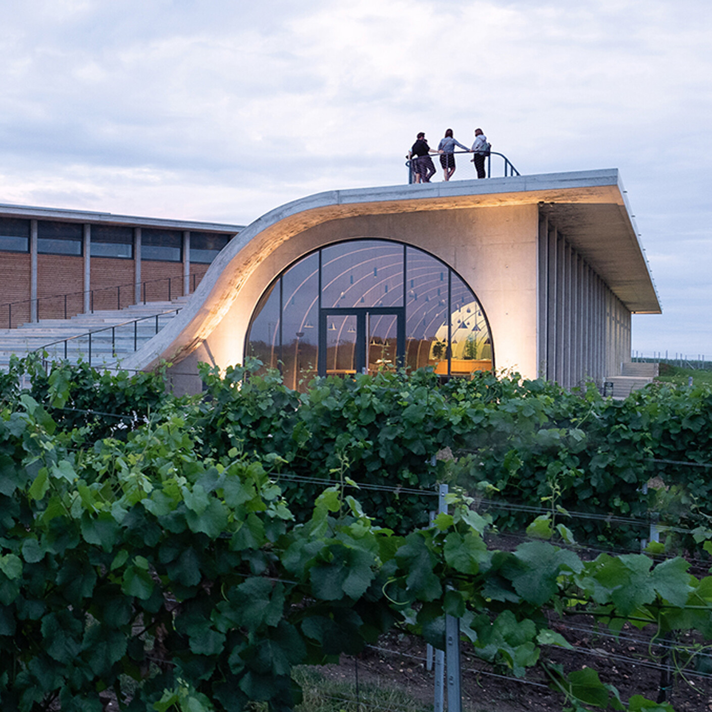 TS Q Weinarchitektur