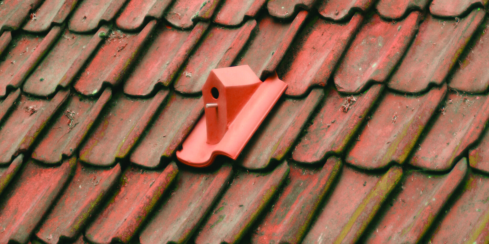 „Birdhouse“ von Klaas Kuiken