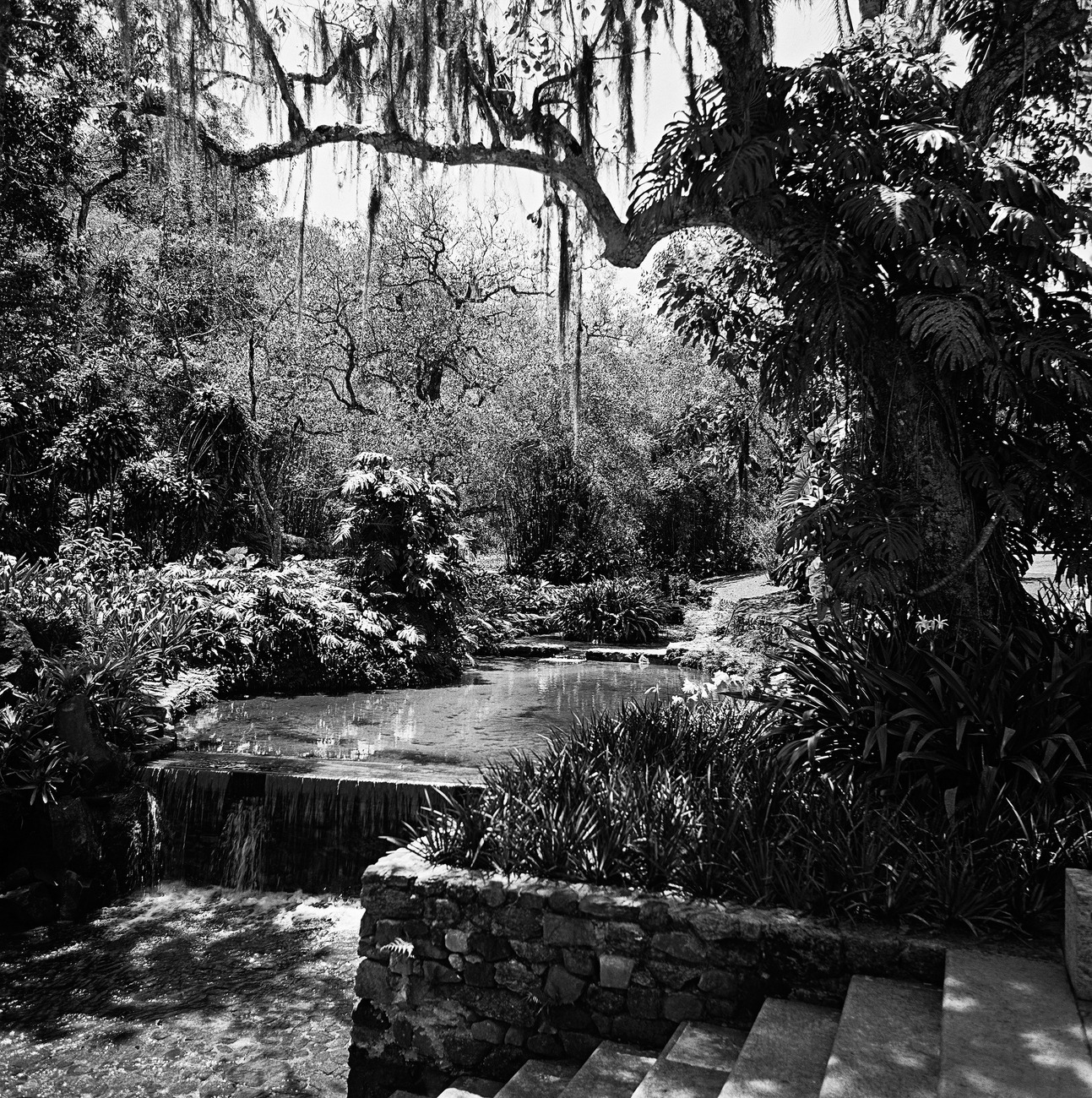 Garten von Roberto Burle Marx in Rio de Janeiro, Marcel Gautherot