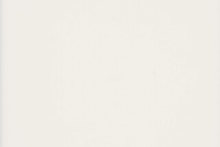 6502. Pearl  by  KRION