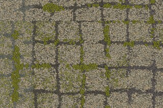 Human Connections Moss in Stone  by  Interface