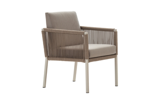 Club dining chair  by  solpuri