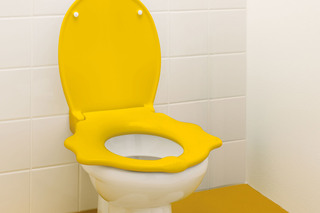 Geberit Bambini free-standing WC with lion paw design  by  Geberit