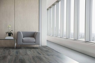 Level Set Textured Woodgrains  by  Interface