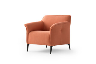 LX368 armchair  by  Leolux LX