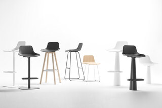 Set  von  Sellex