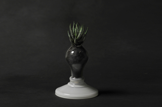 Plant Light  von  Foscarini