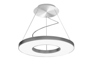VIVAA RING Pendelleuchte  von  Waldmann