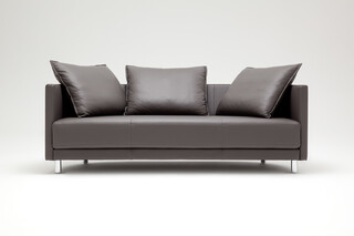 005 ONDA sofa  by  Rolf Benz