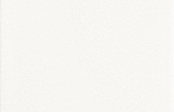 0101. White Nature
