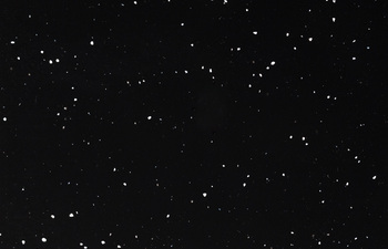 0903. Night Nature