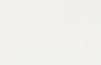 6101. Frost White