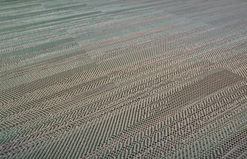 Bolon By Missoni Flame Patch Green