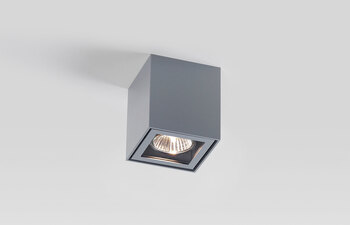 Boxy+