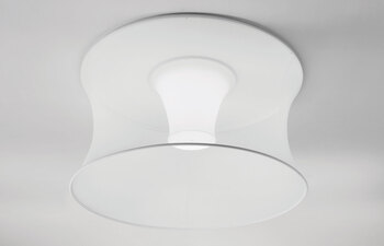 Euler ceiling big