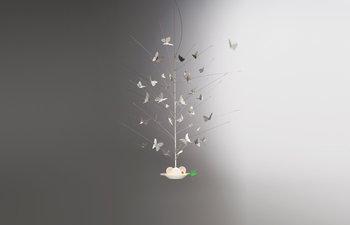 La Festa delle Farfalle