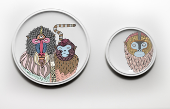 Primates Plates