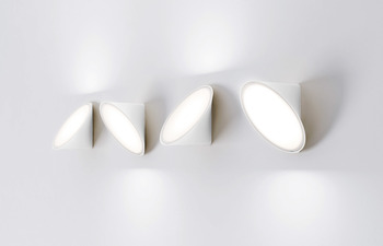 Orchid ceiling/wall