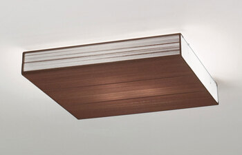 Clavius ceiling CLAVIU