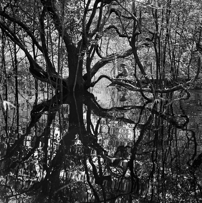 Igapós, Amazonas, Marcel Gautherot