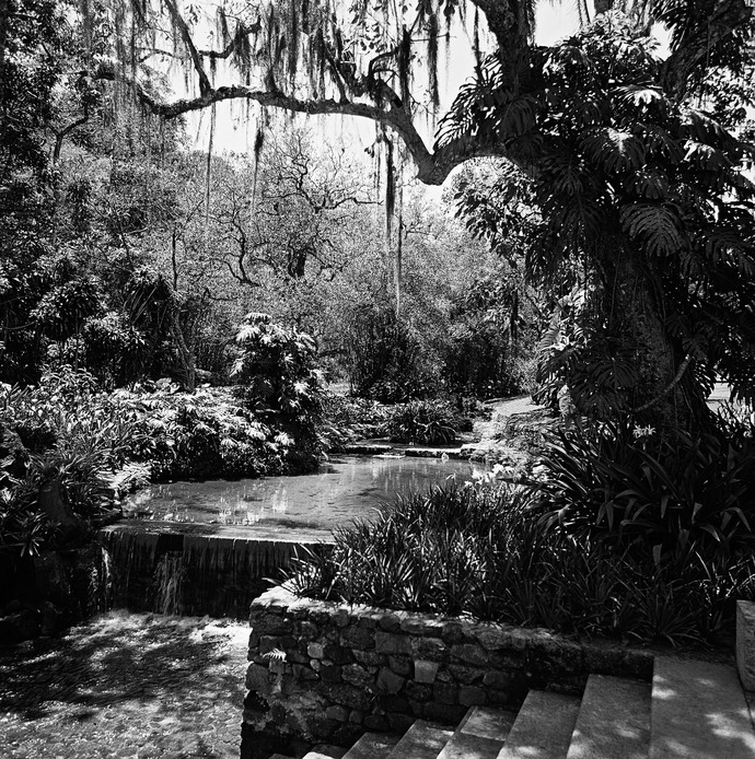 Garten von Roberto Burle Marx in Rio de Janeiro, Marcel Gautherot