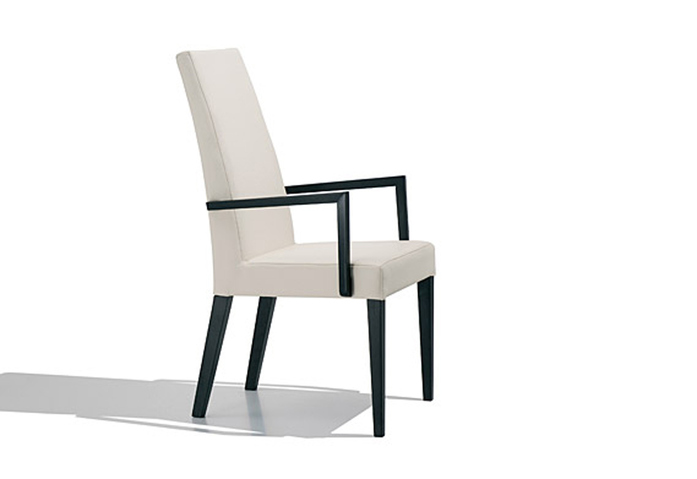Anna Luxe Chair With Armrests 2