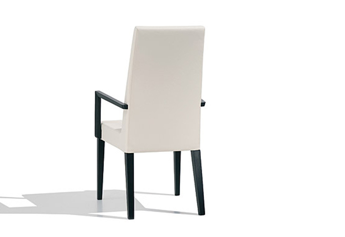 Anna Luxe Chair With Armrests 3