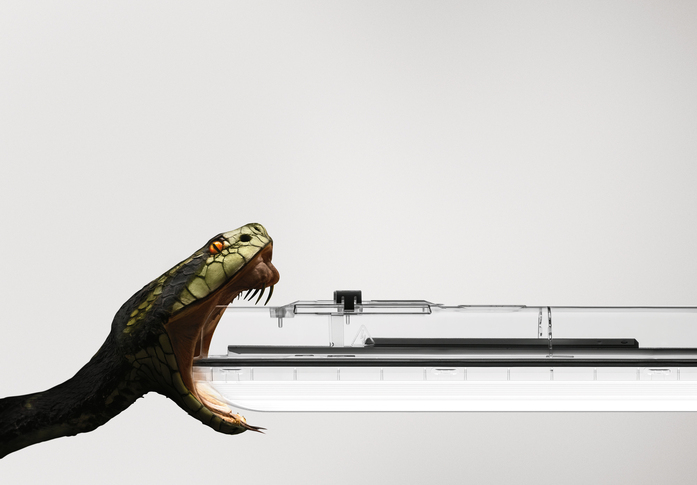 Amphibia 2
