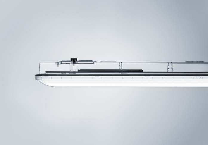 Amphibia 3