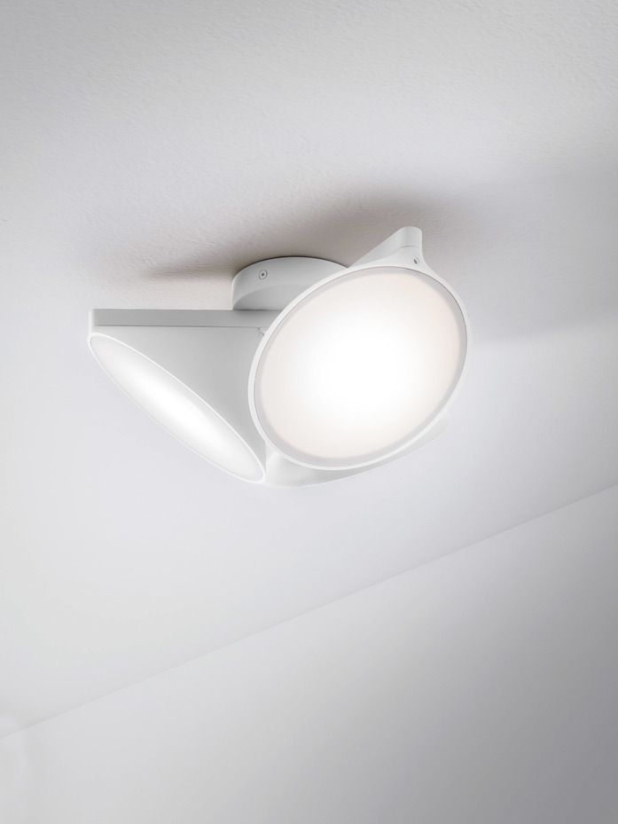 Plorchid 2 White