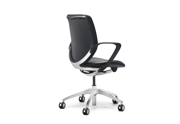 313 8539 Dsleder Alfix45H Le120