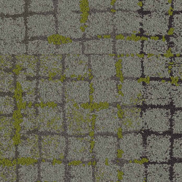 8340002999 B20300 Moss In Stone Slate Edge Va1