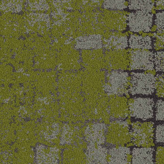 8341002999 B20300 Moss Slatemoss Va1