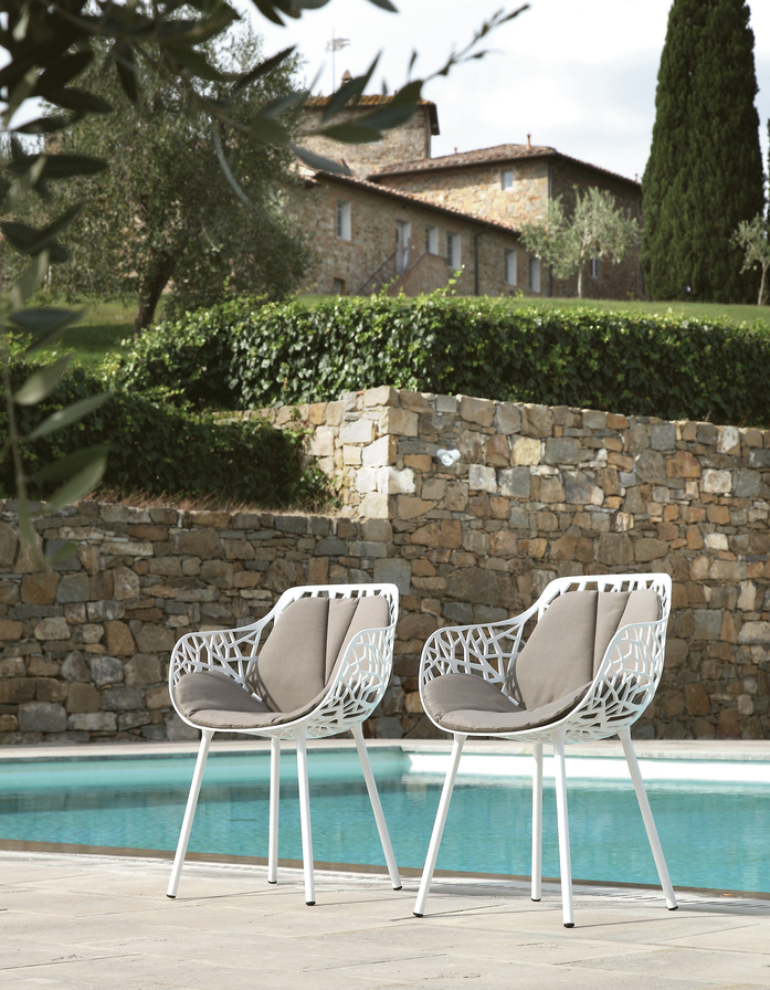 Armchairs With Cushions