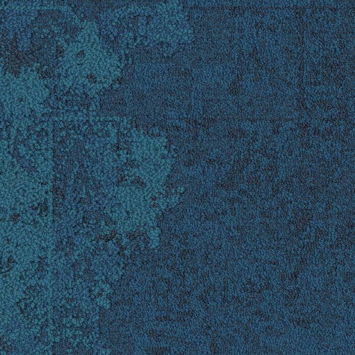 B602 102916 Atlantic 50Cm 150Dpi
