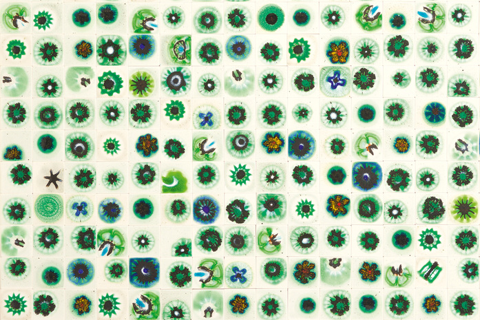 Bloom 04