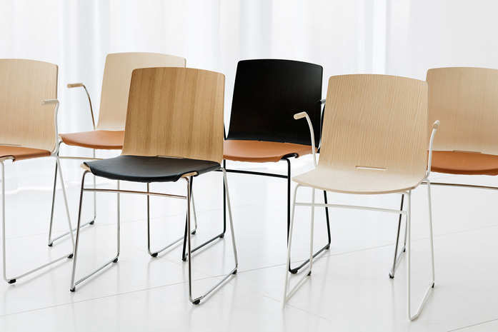 C Day Lite Family 0021