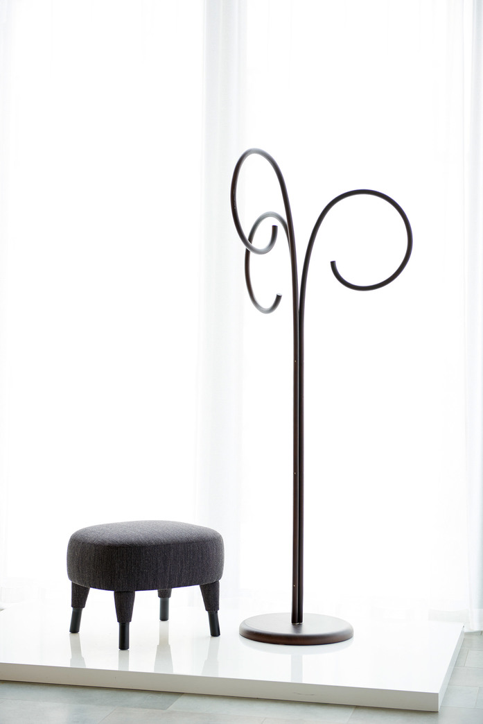 C Loop Elsa1