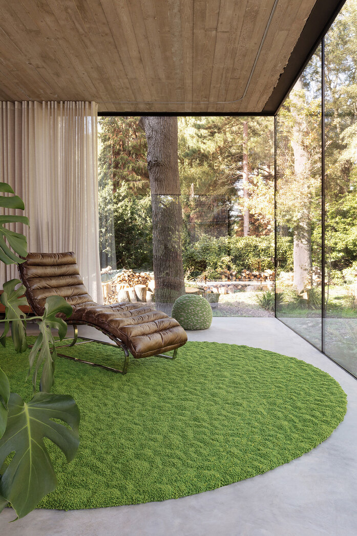 Casalis Earth Collection 2