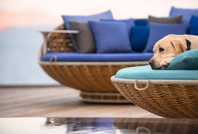 Dedon Standing Lounger 3