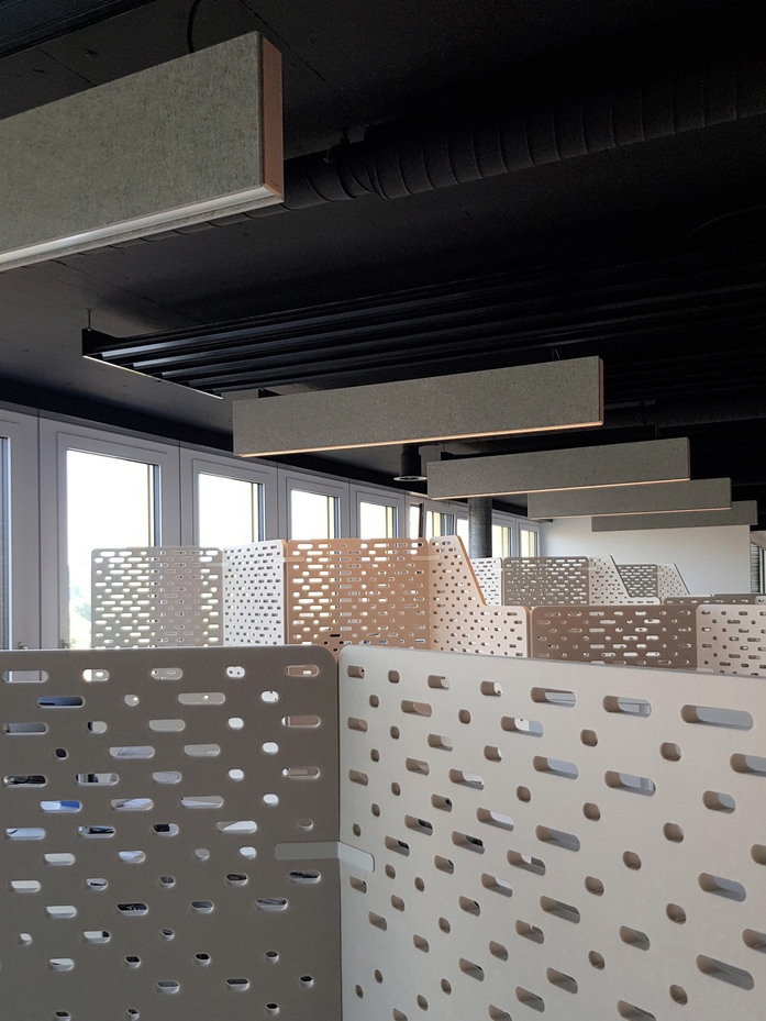 Echo Led  Baffle Biogen1