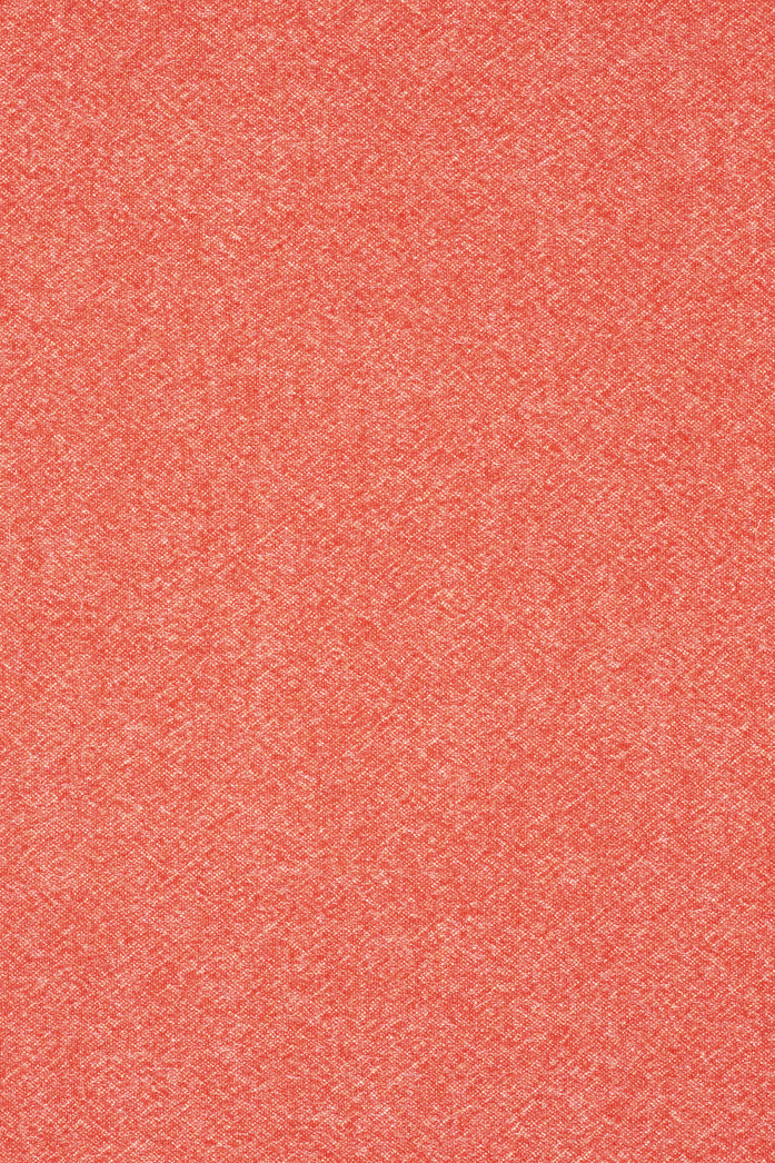 F 1293 C0521 W24 High