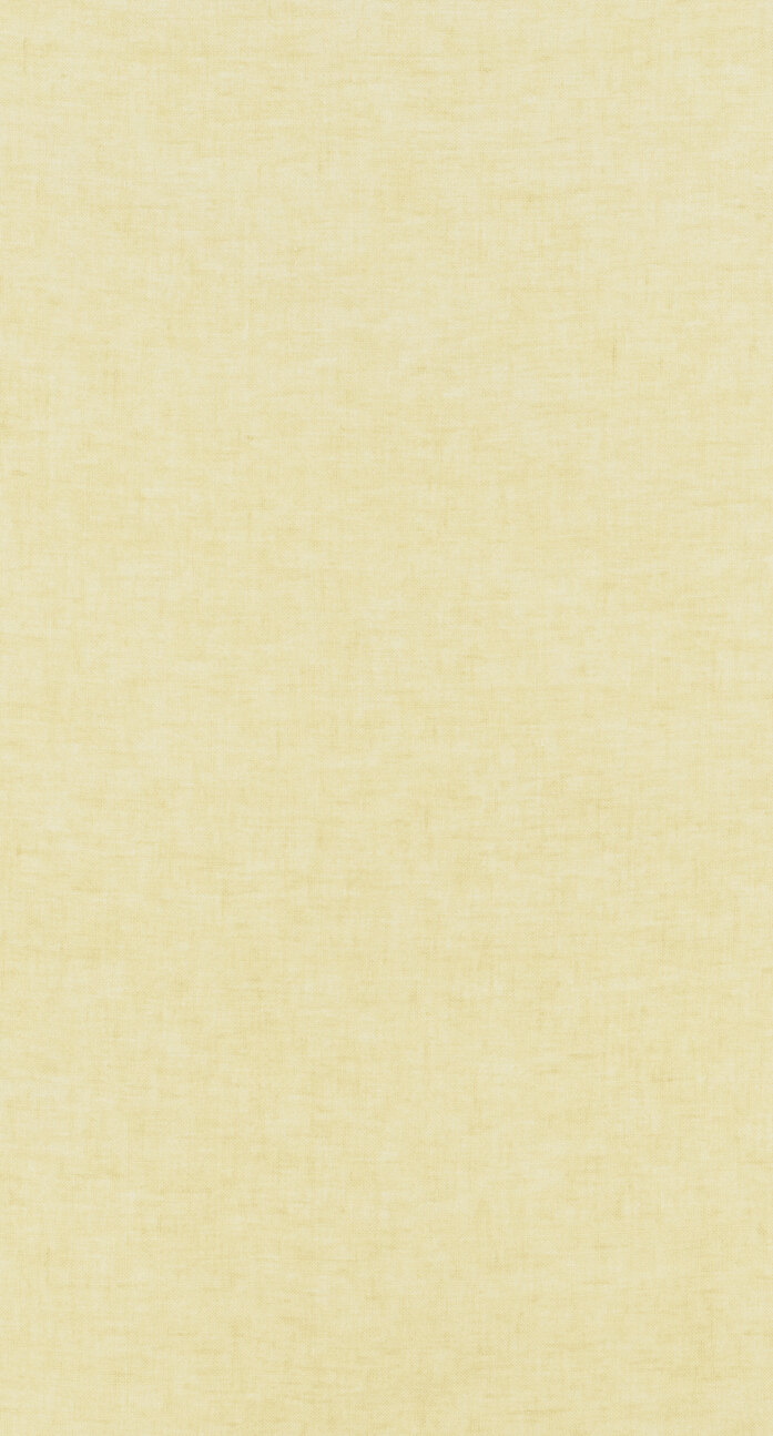 F 6845 C0012 W24