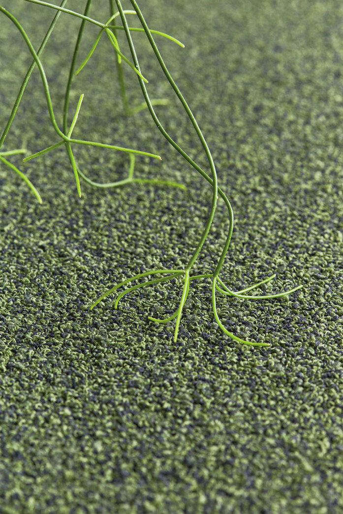 Fine 800 Perspective