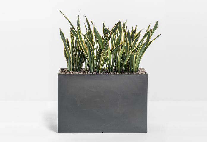 Kado Pot 2
