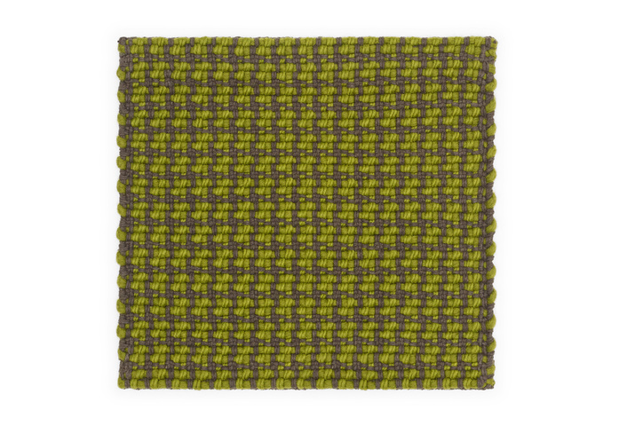 Lattice 8