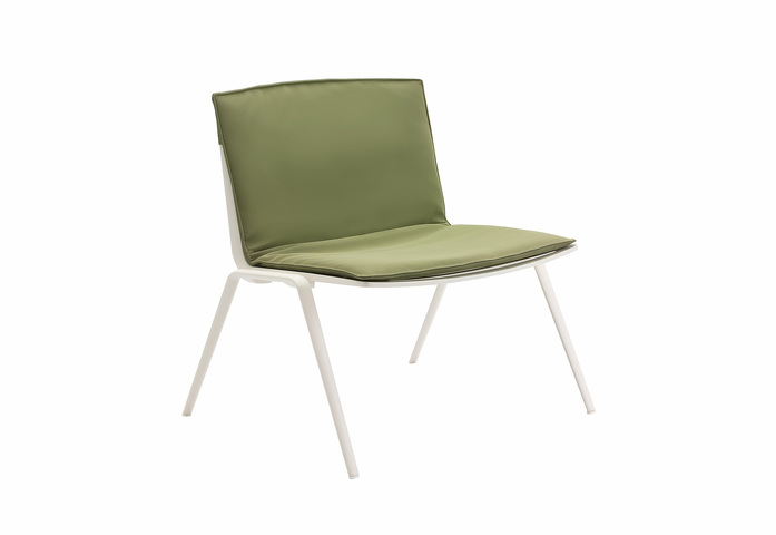Lounge Armchair With Cushion 3