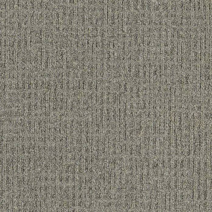 Monochrome 346690