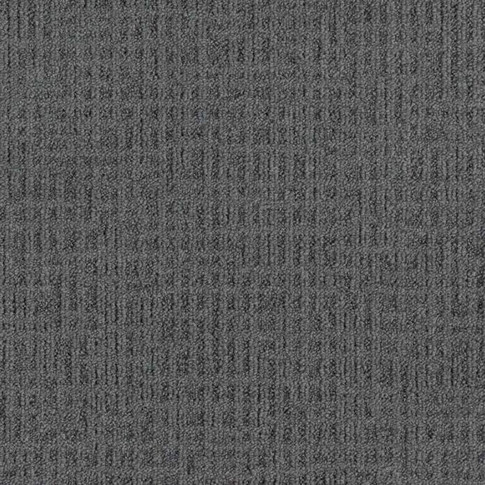 Monochrome 346694